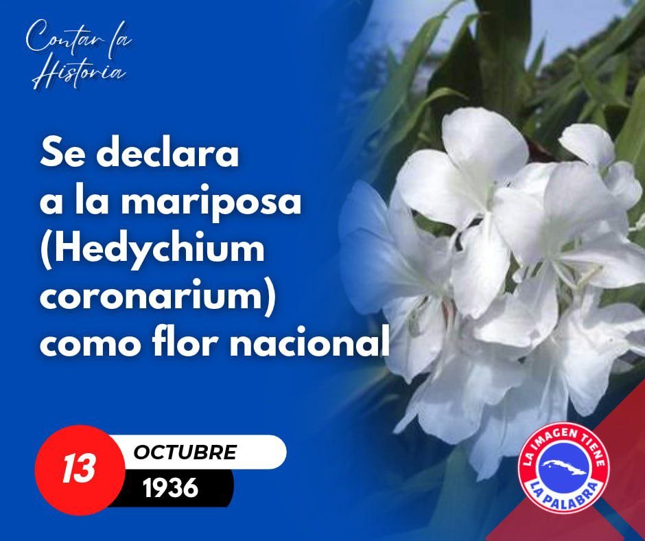 JorgeMadrigalD's tweet photo. 13 de octubre de 1936: Se declara la mariposa como flor nacional de #Cuba. #CiegodeÁvila  @CubaMined @DeZurdaTeam_ @Ferrerctc @FMC_Cuba @InesMChapman @odelsysfmc @pina_veliz https://t.co/M3bIE7004b