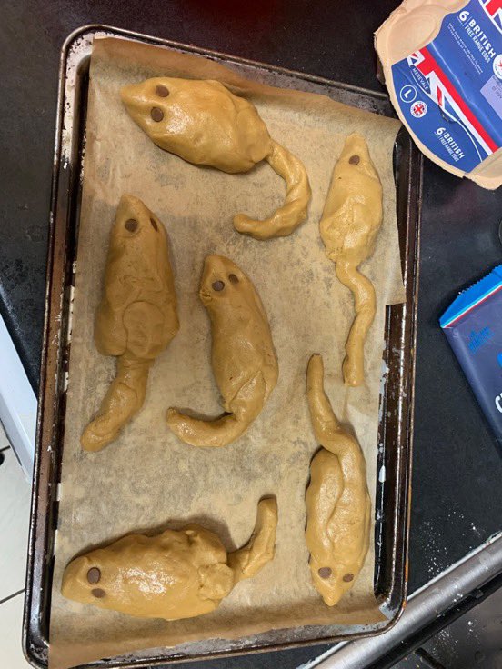 _donaldishim's tweet photo. I tried my best to make rat cookies https://t.co/D84E4vLtDT