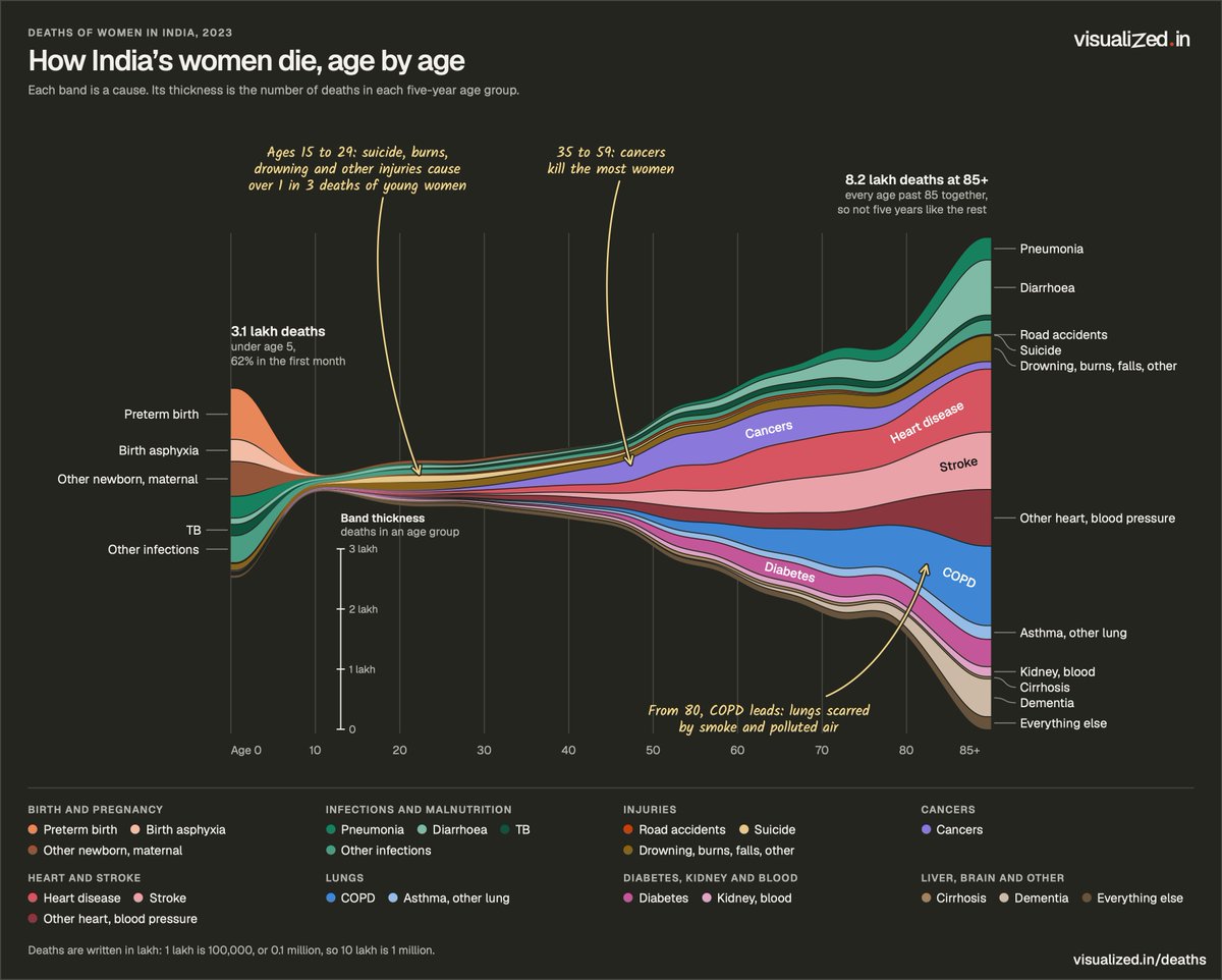 visualizedin's tweet photo. About 9 times more young men than young women die in road accidents (48,000 vs 5,300). But about 4 times more young women than young men die from burns (12,500 vs 3,300). https://t.co/FDCNGLoWnL