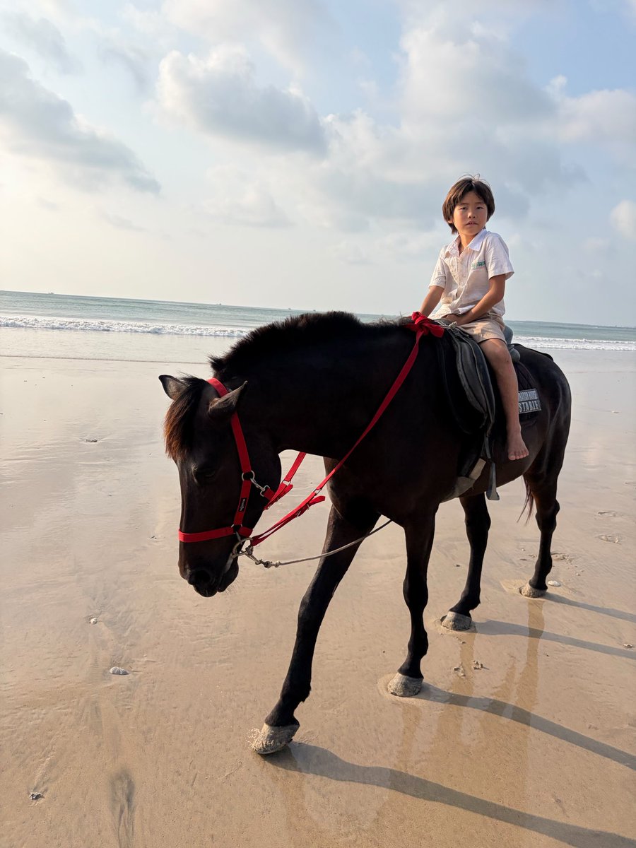 aloha8118's tweet photo. 赤氣も輝氣も最初は怖がっていた乗馬が出来る様になって来た。

素晴らしい😊

環境はめっちゃ大切だね。
もっとわんぱくに育って欲しい。 https://t.co/X7xUH8bNdK