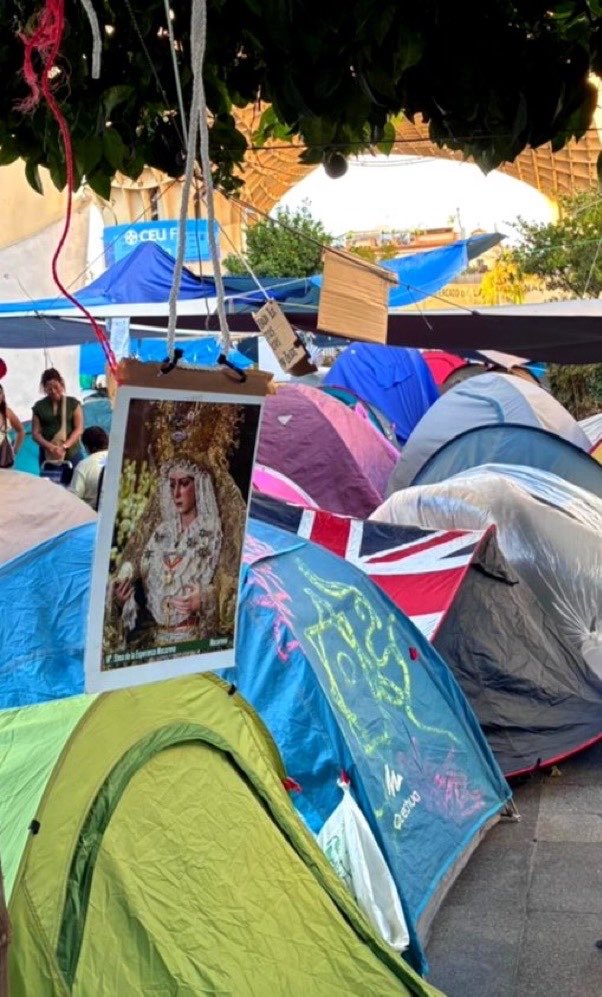 MemesAndalusian tweet picture