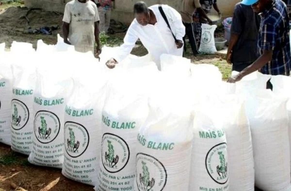 TOGO_H24's tweet photo. L’ANSAT lance sa campagne annuelle d’achat de céréales avec un objectif de 13 000 tonnes pour 2,6 milliards FCFA. L’opération permet de soutenir les revenus des producteurs locaux tout en constituant des réserves pour prévenir les tensions sur le marché.
#Tgtwittos #Togo #ANSAT https://t.co/FGWFfhLVAz