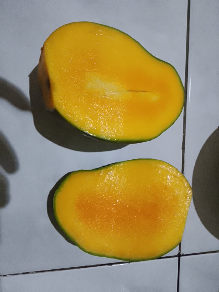 _prabowo88's tweet photo. mangga alpokat emang enak banget si, rasanya manis poll, dagingnya tebal dan bijinya kecil. kalau aku disini nyebut bijinya tuh pelok, suka banget aku kalau kupas mangga bagian peloknya jilatin sampe bersih. hmmm🤤 https://t.co/EK1YDJxf1t