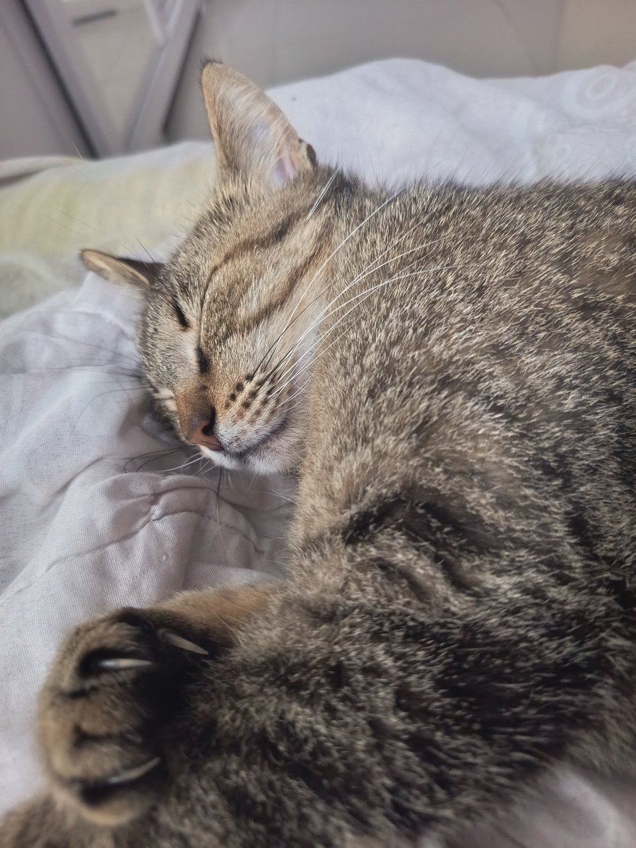 nycksbffjf's tweet photo. Elogiem minhas filhas. ❤️🥰 https://t.co/uyuXcp3ZHu