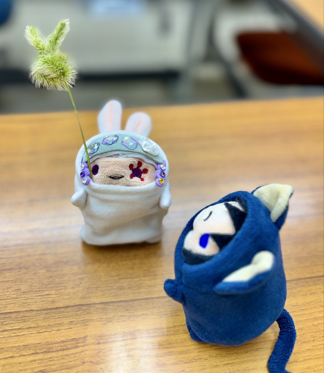 rencon972496302's tweet photo. @sapphire_uzym 獄さんが🔥ﾒｼとか🍊とかに夢中になってる横で🐰じゃらしと戯れていた宇ｯﾁｬﾝとてっちなのでした🤭 https://t.co/sCwB7It4fd