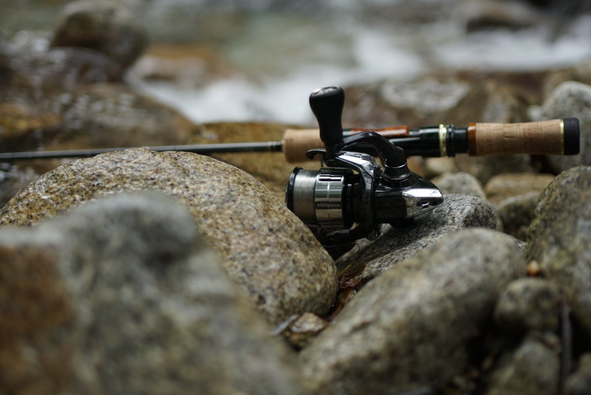 kyomdarak's tweet photo. SHIMANO VANQUISH https://t.co/pEkz8rTTV2