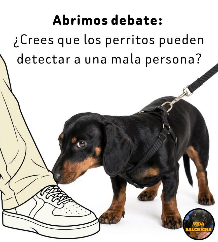 SoyMiConciencia's tweet photo. 𝗡𝗮𝗱𝗮 𝗾𝘂𝗲 𝗱𝗲𝗯𝗮𝘁𝗶𝗿 🤗𝗲𝗹𝗹𝗼𝘀 𝘁𝗶𝗲𝗻𝗲𝗻 𝘂𝗻 𝘀𝗲𝗻𝘁𝗶𝗱𝗼 𝗲𝘅𝘁𝗿𝗮. https://t.co/kdYNBCB3wc