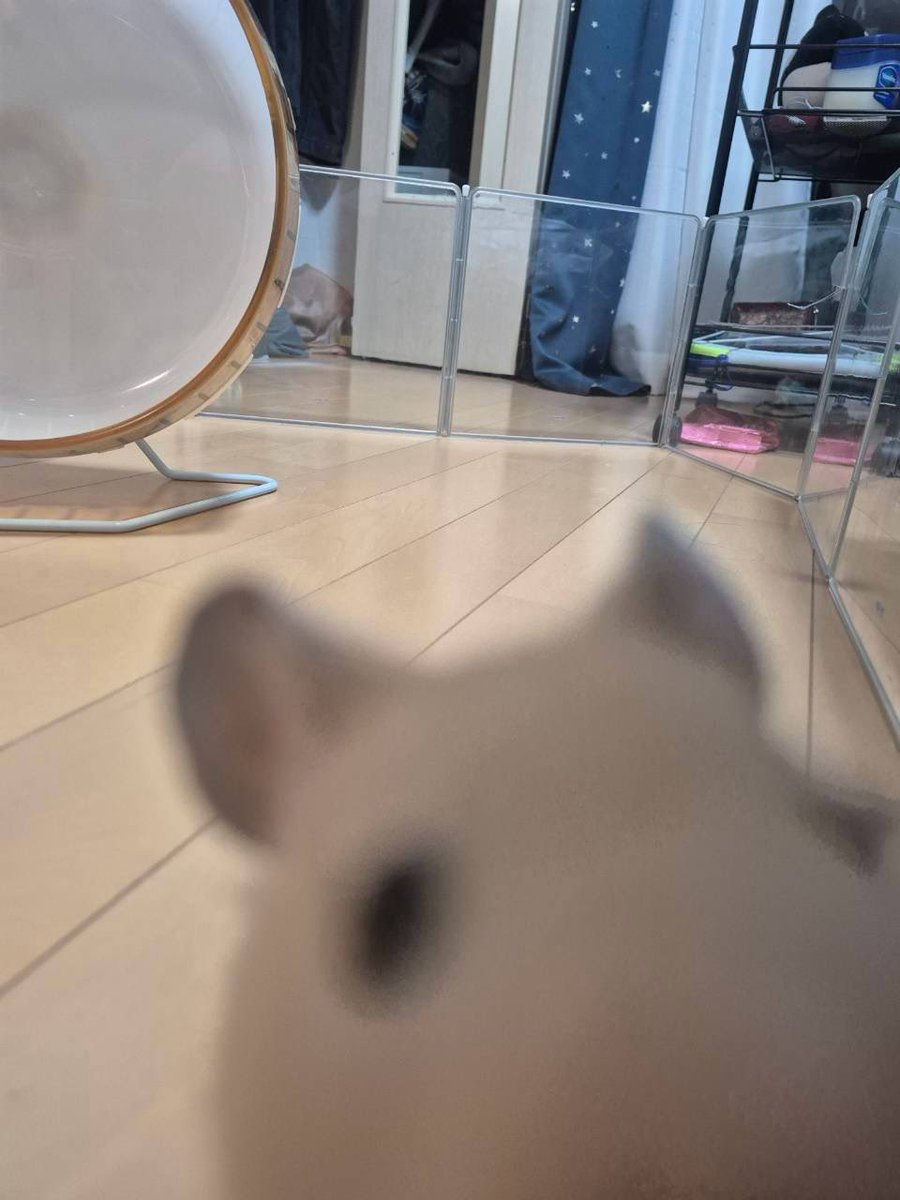 marochaaaan____'s tweet photo. ﾄﾝﾃﾃﾄﾝﾃﾃ👣⸒⸒
・
・
・
・
ﾁｭｯ👄 https://t.co/5ZeJPSTIxi
