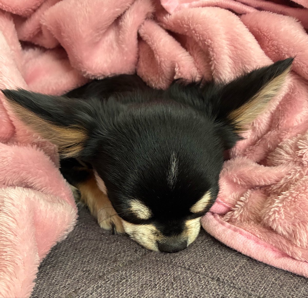 nanosuke_dqx's tweet photo. なんかそう言えば埋まってたなぁ🤔 https://t.co/TQRbsXTxtw