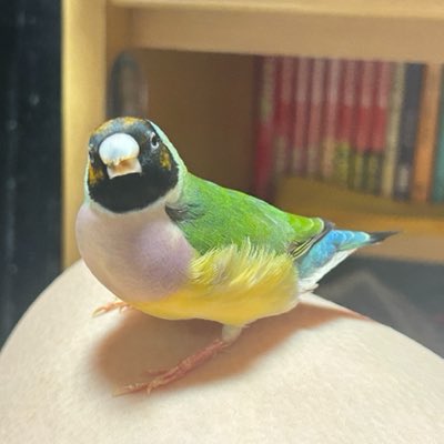 CIJM_MG's tweet photo. #新しいプロフィール画像 https://t.co/KgAE1qO1gv