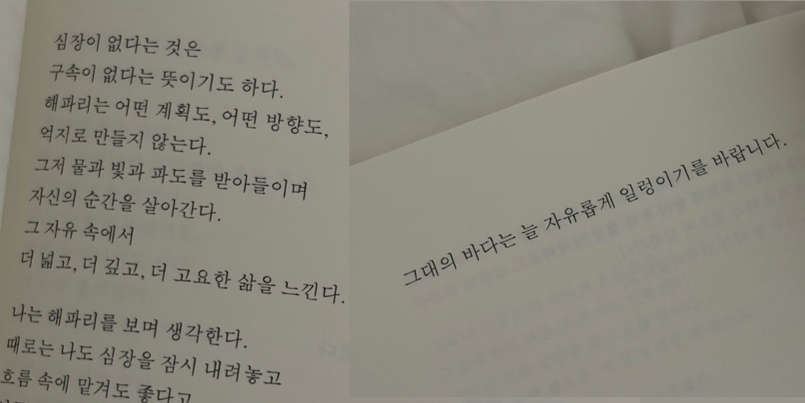 xxbagi_'s tweet photo. 책제목 >> 들숨에 낭만을 날숨에 영원을 https://t.co/GqCCz3DlqE