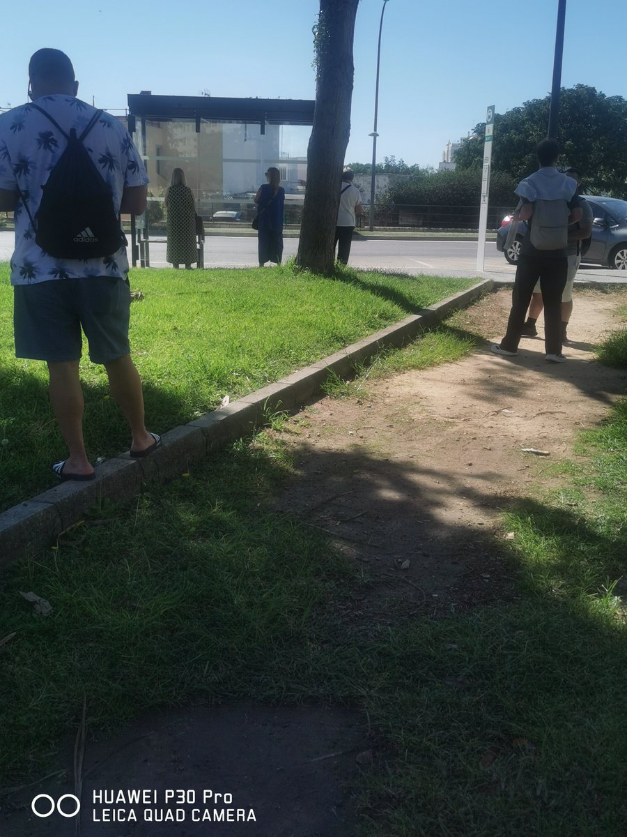 Isabela07384078's tweet photo. En esto "invierte" el dinero el Ayto San Fernando.
Quien se lo ha llevado calentito?
Porqué quitar algo bueno para poner esta porqueri...? 
@CastilloSanFdo https://t.co/2ve5uDwe4q