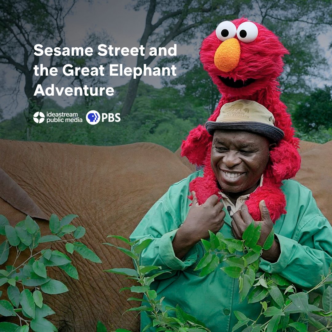 WVIZ's tweet photo. Elmo and the Sesame Street gang are off on a once-in-a-lifetime African safari adventure! 🐘 
Tomorrow at 8:00 p.m., @PBSNature and @sesamestreet team up in "Sesame Street and the Great Elephant Adventure." Join WVIZ for this extra special episode! https://t.co/UNyZmMX7VJ