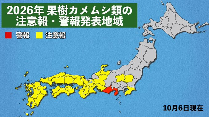 SOS_Wodnil's tweet photo. 【カメムシ大量発生 影響長引く恐れ】
#うたコン #適応障害 https://t.co/ywXyvEzeRb