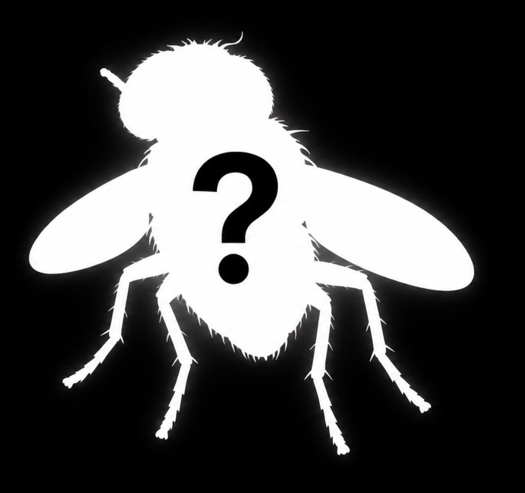 Slugy_Cs's tweet photo. 🚨 GIVEAWAY JUMPSCARE 🚨

🎂3,280 LUNITE (WuWa) X 10 WINNERS🎂

For those who are yearning for Hsin’s leg accessory.

But this time, I need YOUR help naming my next fly.

Larpy needs a friend, and I have absolutely no idea what to call it 💀

To enter:

Follow me
Like this post
Comment what my next fly’s name should be

⏰ ENDS IN 1 HOUR!

PLEASE CHECK YOUR DMs IF YOU WIN! I need to contact you to deliver your prize.

Good luck everyone, and may your 50/50 not be dogshit 🫡❤️

#WutheringWaves #WuWa #Giveaway #GachaGames