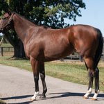 Photo by Denali Stud (@DenaliStud)