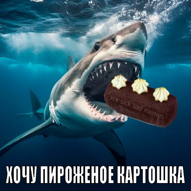 guussss_sys's tweet photo. https://t.co/YZbvqkOpqF