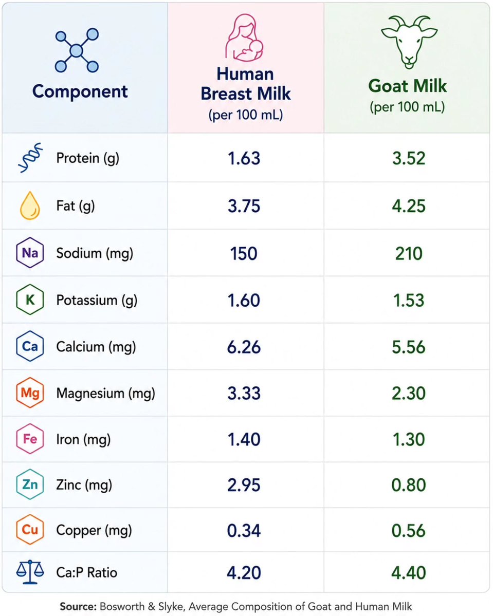 DrOmicsResearch's tweet photo. Goat milk shares some nutritional similarities with human breast milk and contains oligosaccharides that may support gut health.  However, human milk provides unique immune-protective components and remains the gold standard for infant nutrition

Source: https://t.co/uh4cqoE6fY https://t.co/foQ5b1x68H
