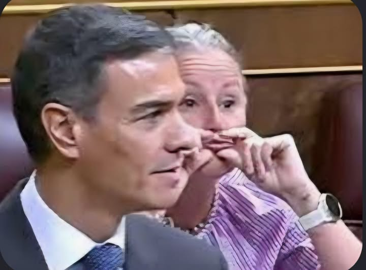 pepeluspain's tweet photo. Montse Mínguez: 30 pisos en alquiler y desahucios...gentuza https://t.co/gXnmJIyOTi