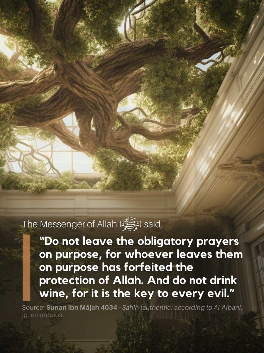7signxx's tweet photo. The Messenger of Allah ﷺ said: https://t.co/1trQ3nXlT5