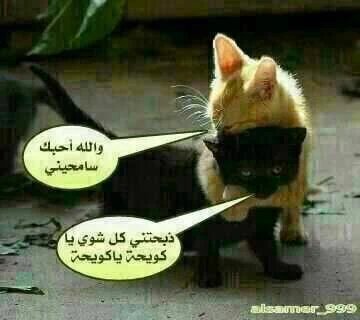 jiihad966's tweet photo. https://t.co/HzgqKN1siO