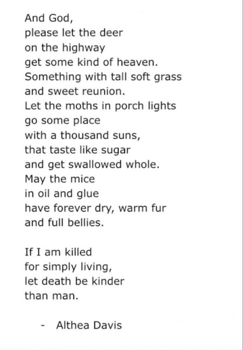Anomali210830's tweet photo. Let death be kinder than man https://t.co/nj7uSp0sbF