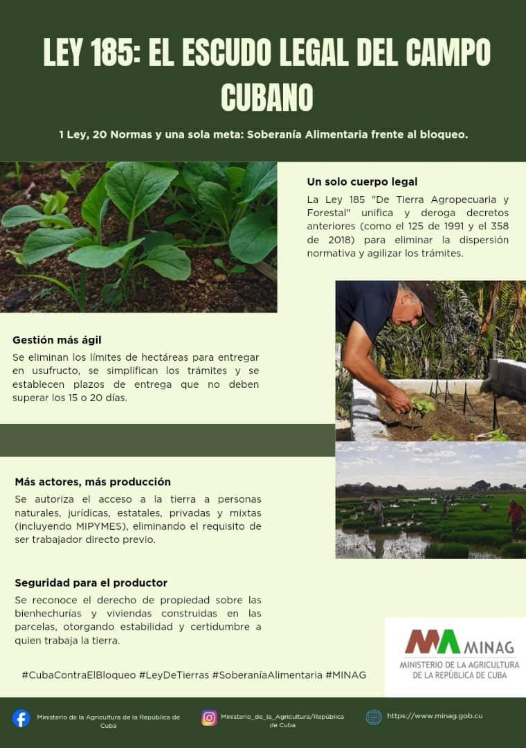 RafaelAnap's tweet photo. En la implementación de las transformaciones en la Agricultura. Se garantiza la salud y el bienestar animal con las normas actualizadas que protegen la producción pecuaria y su vínculo con el hombre. #CubaProduce #CampoCubanoEnTransformación #AgriculturaCuabana @MinagCuba https://t.co/mWhIHnMY6p