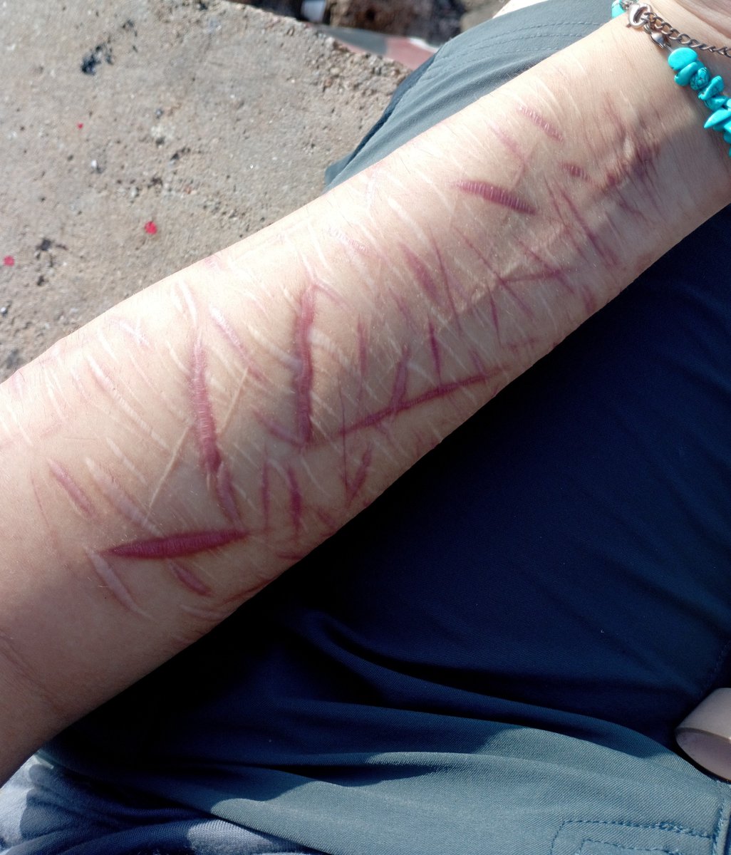 shin_veltal's tweet photo. AI #FAKE SFX MAKE UP ‼️‼️ https://t.co/Sv0tBppSTV