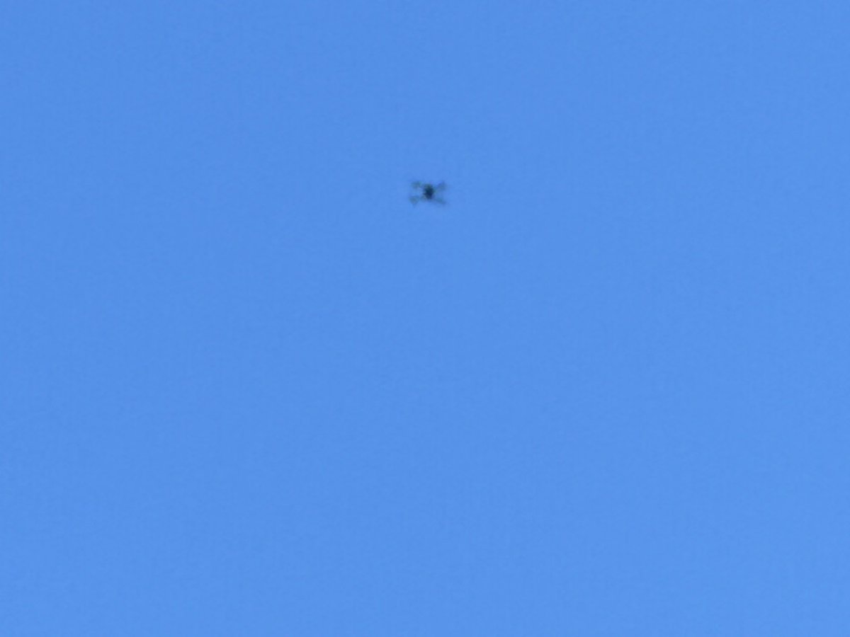 DominicTV's tweet photo. Eye in the sky! 🚁👮♂️ NYPD drone keeping New Yorkers safe at yesterday’s spectacular Columbus Day Parade on Fifth Avenue!
What a fabulous day! 🇺🇸
Join me TODAY at 3 PM on 77 WABC Radio—and back LIVE at midnight!
LET’S GO! 🎙️
#DominicCarter #77WABC #NYPD #ColumbusDayParade #NYC https://t.co/iPeMM2G9Dq