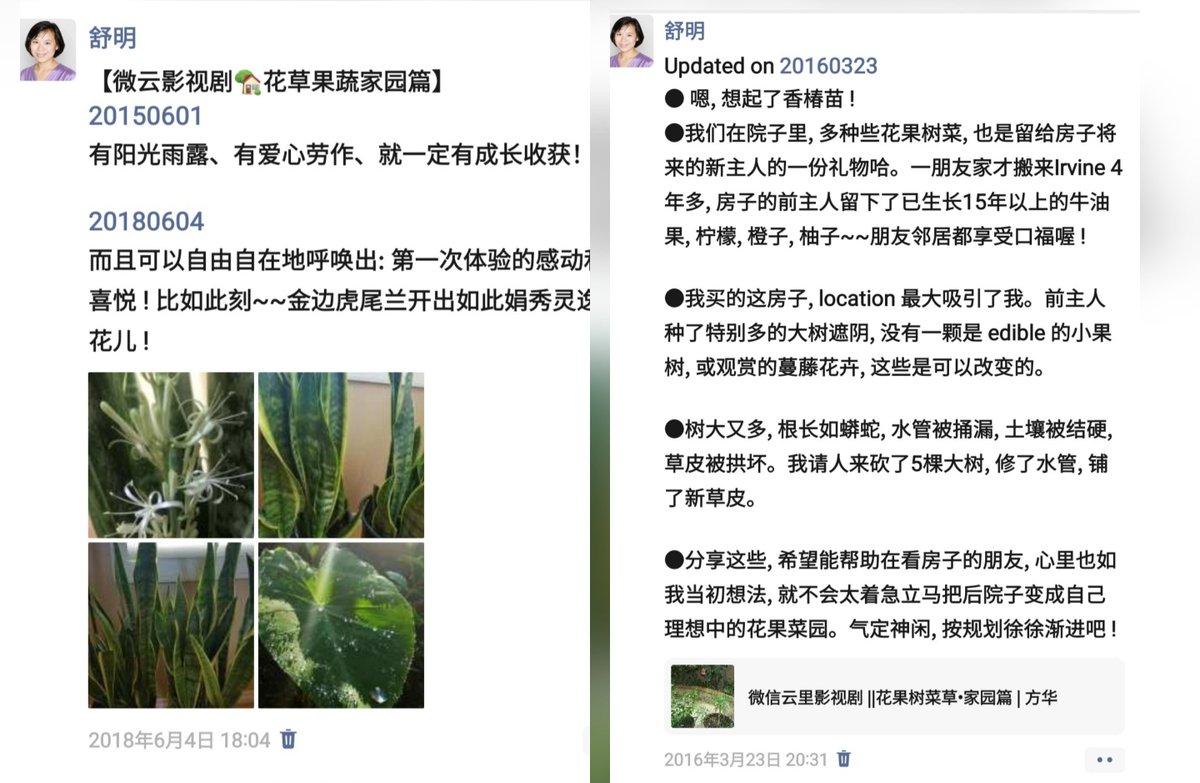 ShumingShu's tweet photo. 【微云影视剧🏡花草果蔬家园篇】
20150601
有阳光雨露、有爱心劳作、就一定有成长收获！

20180604 
而且可以自由自在地呼唤出: 第一次体验的感动和喜悦 ! 比如此刻~~金边虎尾兰开出如此娟秀灵逸的花儿 ! https://t.co/ZHNe50eRnb