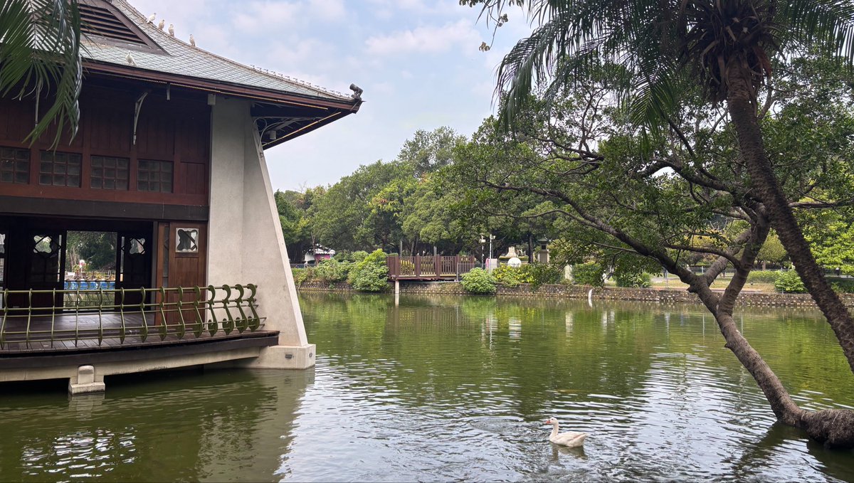 2_ly_79's tweet photo. 台湾狂いのニコラスペン、また台湾に来ております
今回は初の中部です
天気の良さと街の雰囲気の良さとご飯の美味しさが、沁みるぅ https://t.co/zYxQK1pNI2