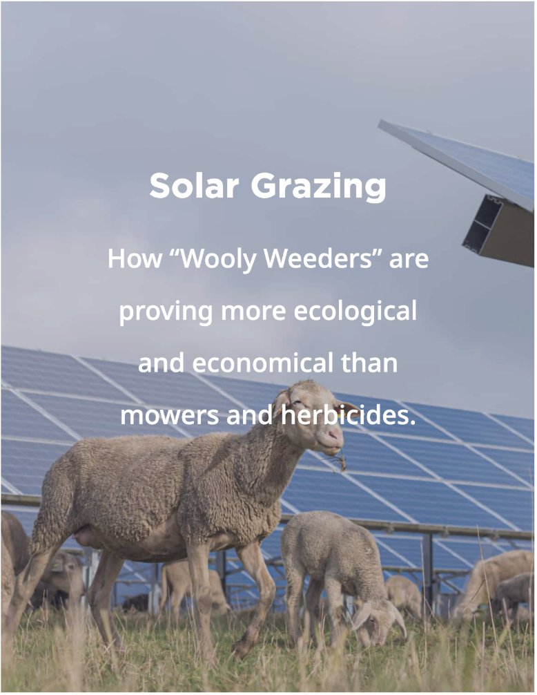 ExperienceWool's tweet photo. Solar grazing is emerging as a real way to diversify income and open up new grazing land. It's a win-win: good for ag communities, good for the environment. And it's already happening. We break down how it works on the blog: https://t.co/xLOP0DC6Zx.

#experiencewool https://t.co/3nLSq3vczS