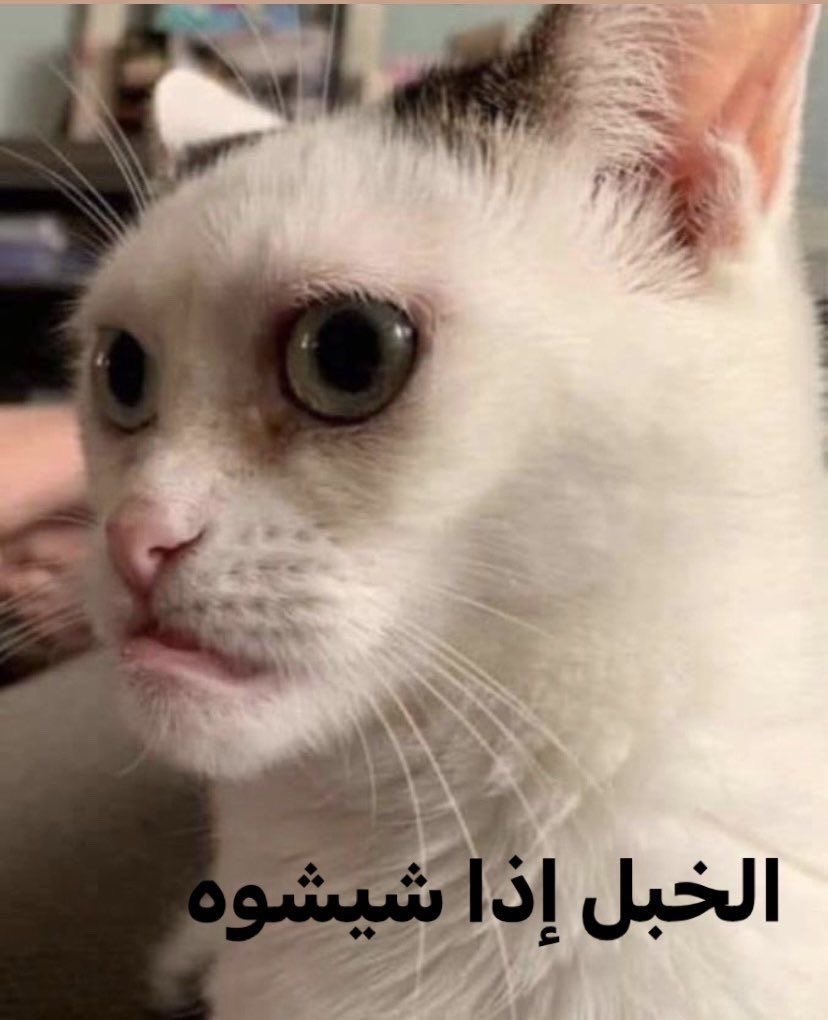 lu5lv_'s tweet photo. الحسابات الصفرية وهي ماسكه كل الشفتات

( أنا وحده منهم ) https://t.co/vWyLdtgl2u