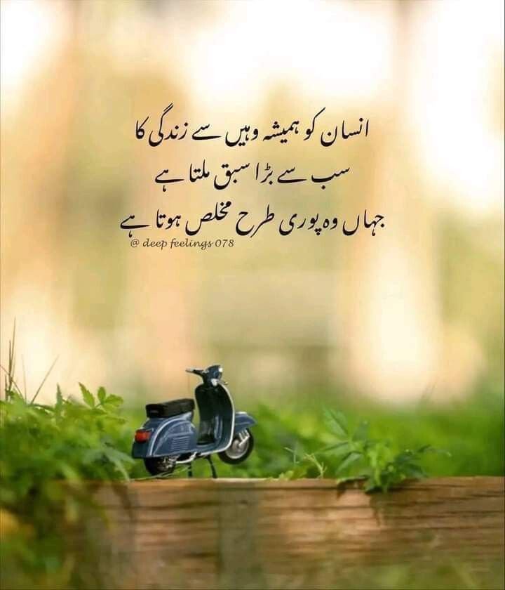 naturelovenot's tweet photo. https://t.co/h2pbDhVxaY