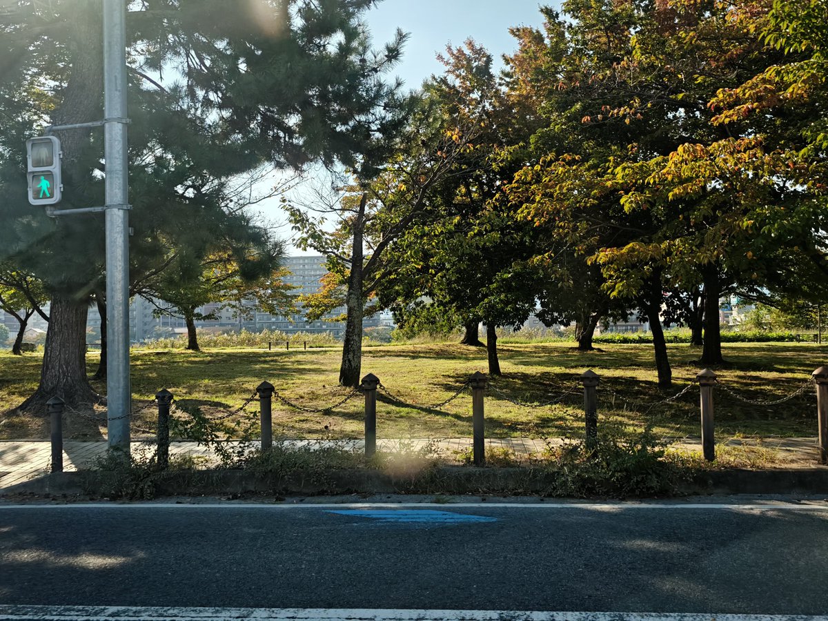 g_tvsa's tweet photo. 滋賀湖東をドライブ。JAおうみんちのジェラートが旨くて最高だった。今回は生姜とパッションフルーツパイナップル？、オレンジシャーベッド。期間限定味がたくさんあったからまた来よう。滋賀は広くてのどかなで落ち着くから好き https://t.co/pNGx6TEXqx