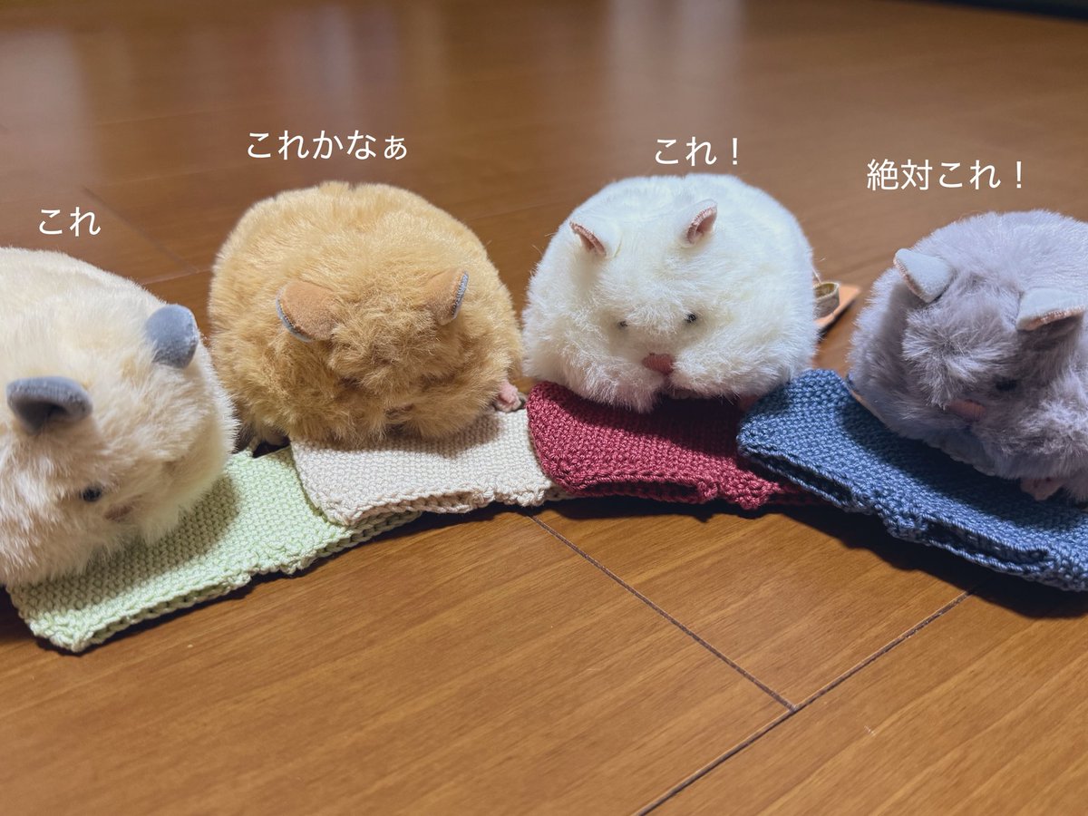 neokyabechi24's tweet photo. @usaham0427 さんにオーダーして作っていただいたはむちゃん達のお洋服🐹⭐︎
我が家の子達、毛量と贅肉が豊富でパツパツ😂
めっちゃガタイ良くて愛おしい😂
型がついたら嫌なので、お写真撮る時やお出かけの時だけにておきます😌🎀 https://t.co/Avpo41pY9q