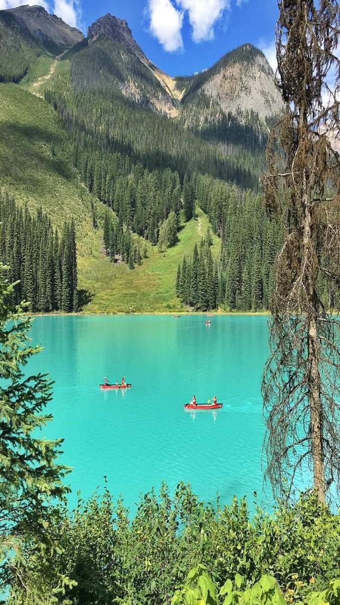 naturebeauty760's tweet photo. Emerald Lake, Canada 🇨🇦 https://t.co/sWeKMWetIr