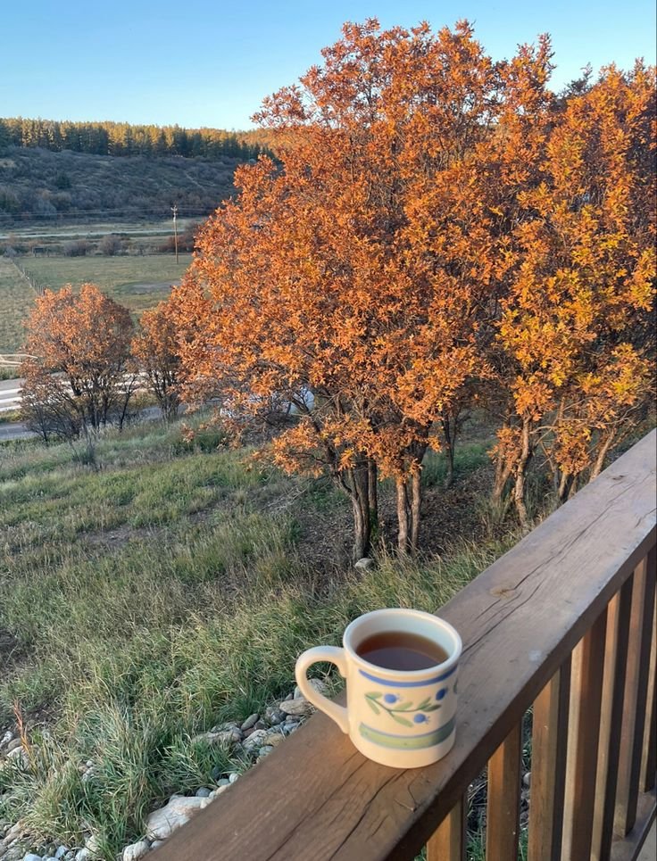 calmgloww's tweet photo. Autumn looks good on everything https://t.co/ZFg4z0ULn2