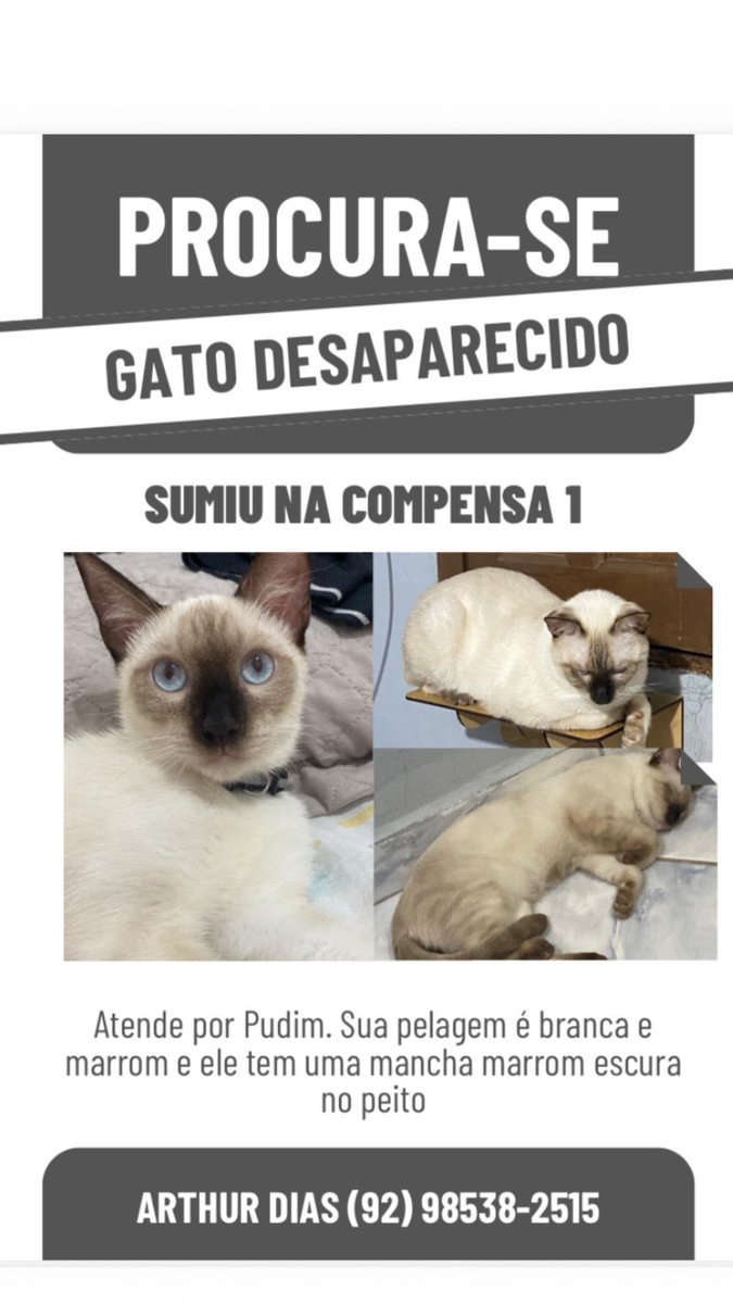 loucandyyy's tweet photo. Meu gato está sumido desde domingo à noite aqui na Compensa 1, mais ou menos próx ao Bradesco 📍

EU IMPLORO ajudem compartilhando pra que nos ajude a encontrar ele!!!! 

qlq informação: 9298538-2515 https://t.co/ddIxym5NF4