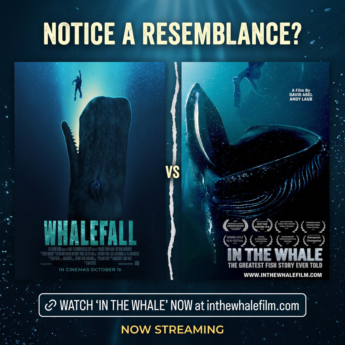 davabel's tweet photo. See anything fishy here? Well, if imitation is the sincerest form of flattery, weโll take it. If you want to watch the true story, "In the Whale" is now available to stream at https://t.co/EqCrxAqioQ
#InTheWhale #Whalefall #DocFilm #IndieFilm #OceanLife #TrueStory #WhaleTok https://t.co/iJ6HRLJWkn
