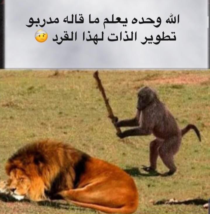 deeeneeb's tweet photo. https://t.co/ytOIsqUrMD