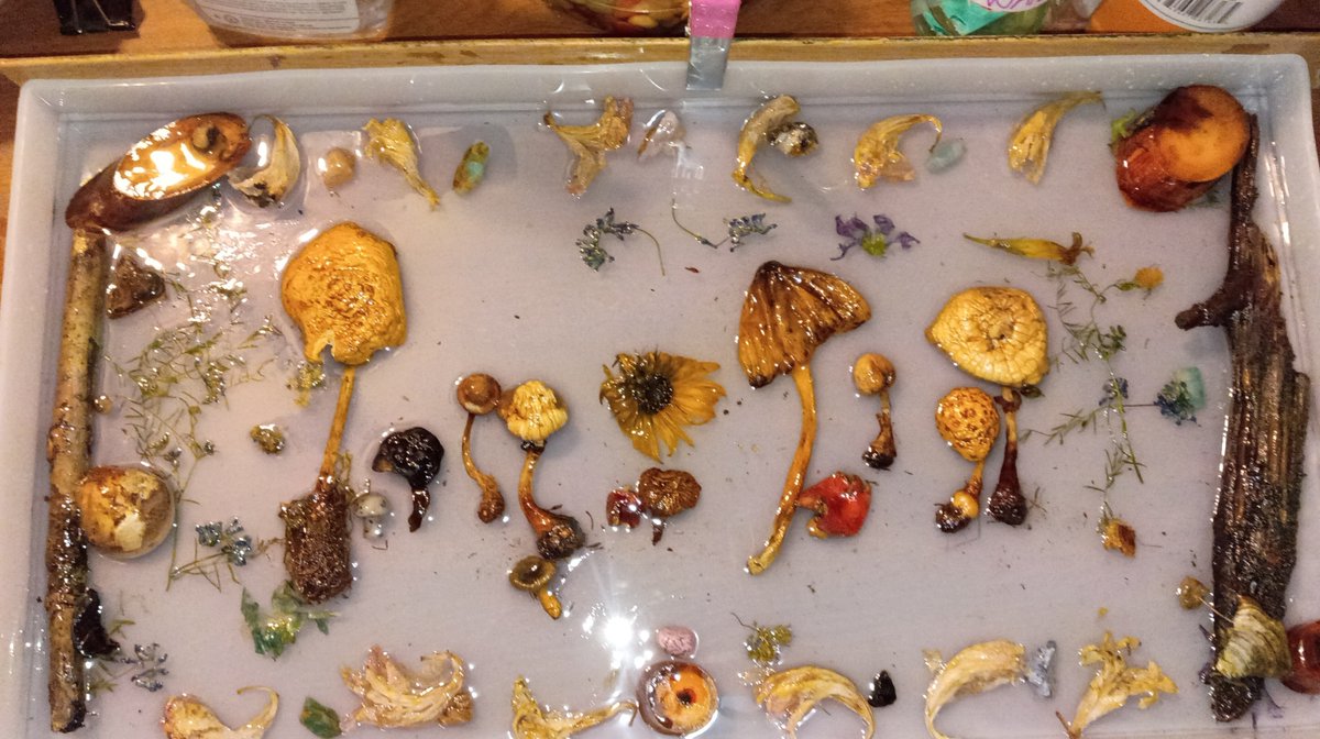 cryslynnaustin's tweet photo. Mushroom ๐ resin art
By me
#resinart
#mushroomsofmaine
#epoxyresinart
#artistontherise
#crafts https://t.co/sU1SqJ4CMo