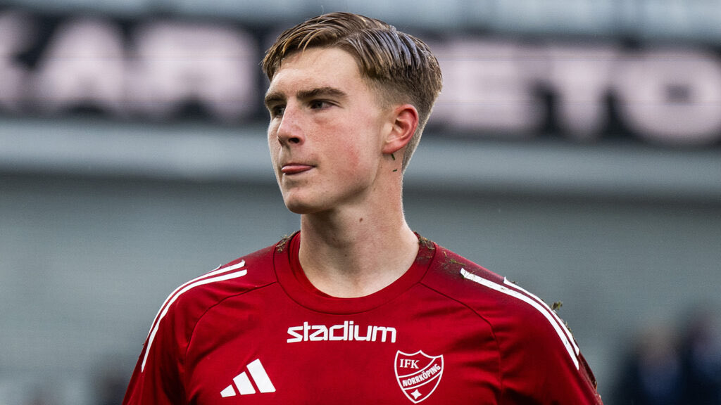 ConceptScouting's tweet photo. 🇸🇪 The Swedish Superettan is a hive of talent, as previous years have proven.

The best goalkeeper of any age in the league currently is Theo Krantz (20, 🇸🇪) of IFK Norrköping.

 A supreme shotstopper, good with the ball and destined for an international career with Sweden. 13 clean sheets in 23 matches this season.