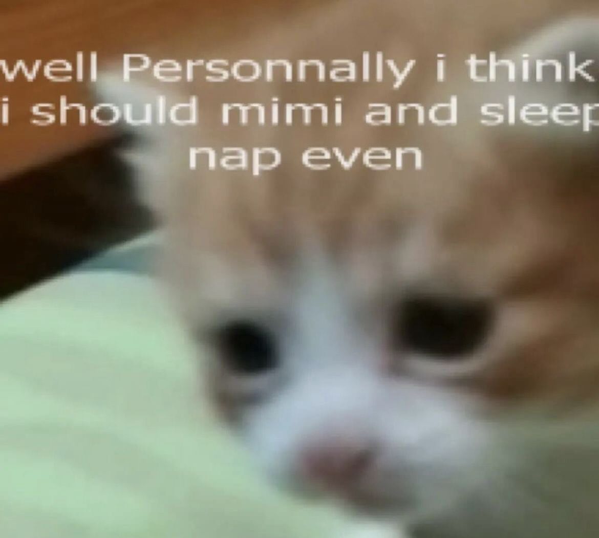 PunchingCat's tweet photo. https://t.co/WxApZWlt10