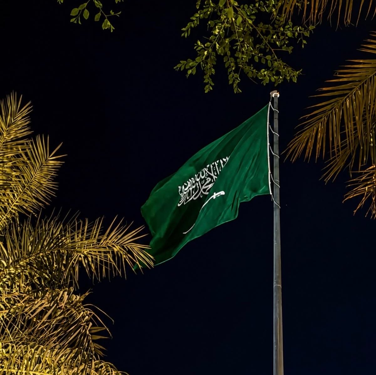 2nli8l's tweet photo. ونحـن جحيـم مـن عـاداك دومـاً
وتنكيـدٌ و تنكيـلٌ ورجـزُ..🇸🇦 https://t.co/dCYn3sHzEH