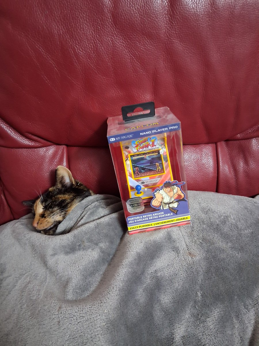 HorderCat's tweet photo. Is kammy hording a street fighter 2 nano palyer https://t.co/AvfpZ2GL2i