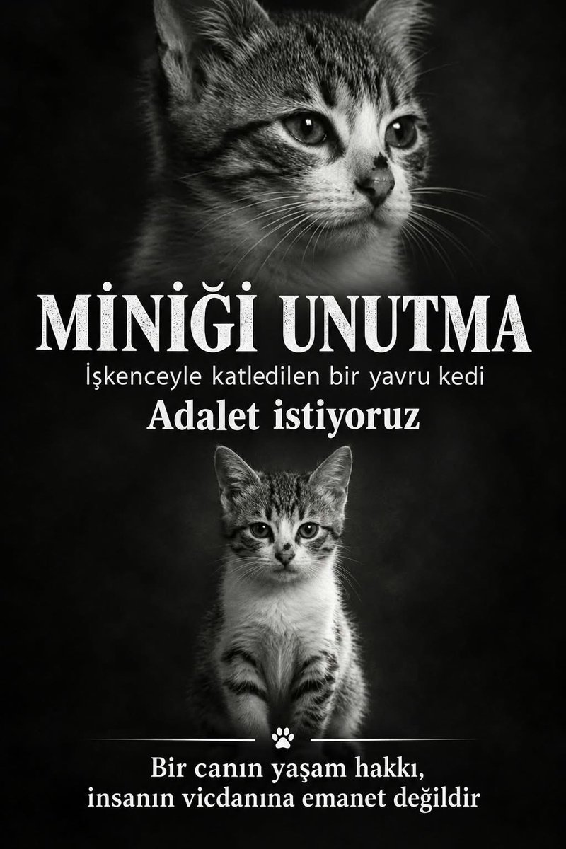 milalov31's tweet photo. yürek sızımız.
vicdan yaramız.
insanlık ayıbımız.
ADALET İSTİYORUZ
#minikiçinadalet #akıngürlek https://t.co/zVPvjZhRpv