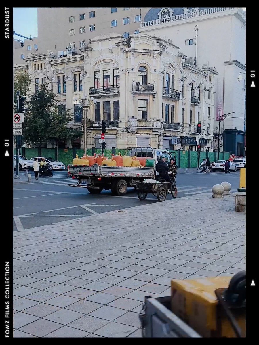 Son_ch__'s tweet photo. Меня внезапно соседка пригласила на день рождения, и пришлось по всему Харбину искать подходящий магазин, чтоб купить подарки, но зато я спустя месяц прибывания в Китае наконец-то досняла переход и прогулялась еее https://t.co/cBX6kK1NT2