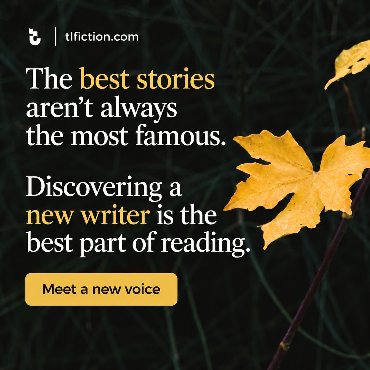 TLFStories's tweet photo. 📚 The best stories aren’t always the most famous.

A fresh perspective. An unexpected connection. That’s the joy of discovering a new writer.

✨ Read free. Discover a new voice at https://t.co/mVGPGosA7E

#TalkingLeavesFiction #DiscoverStories
#ReadFiction https://t.co/sbnHIL4CaU