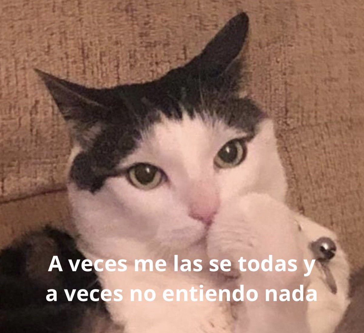 conoloracigarro's tweet photo. https://t.co/cXQZ7azM6Z